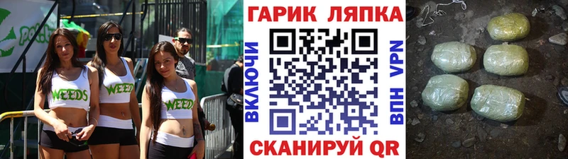 ГАШ гарик  где купить наркоту  hydra ССЫЛКА  Пошехонье 