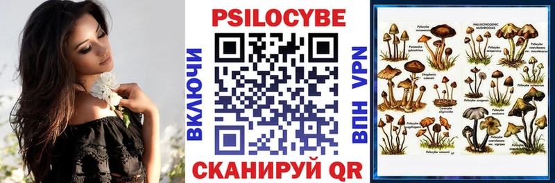 площадка наркотические препараты  цена   Пошехонье  Галлюциногенные грибы Psilocybe 